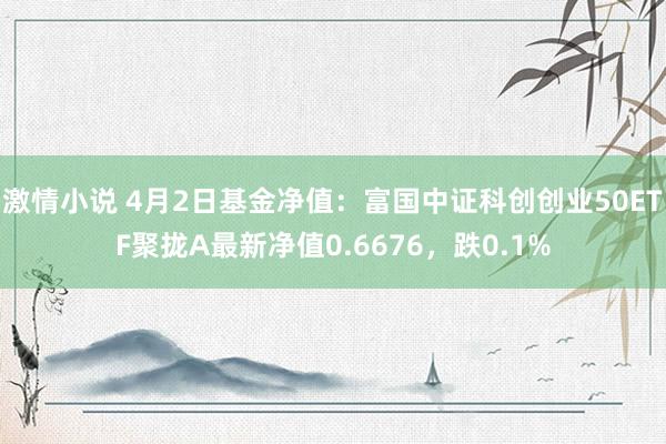 激情小说 4月2日基金净值：富国中证科创创业50ETF聚拢A最新净值0.6676，跌0.1%