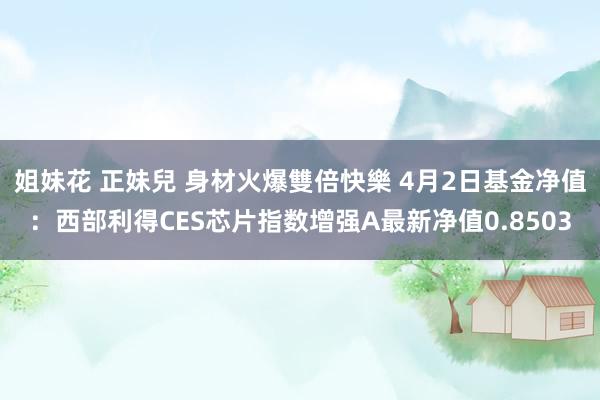 姐妹花 正妹兒 身材火爆雙倍快樂 4月2日基金净值：西部利得CES芯片指数增强A最新净值0.8503