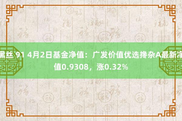 黑丝 91 4月2日基金净值：广发价值优选搀杂A最新净值0.9308，涨0.32%