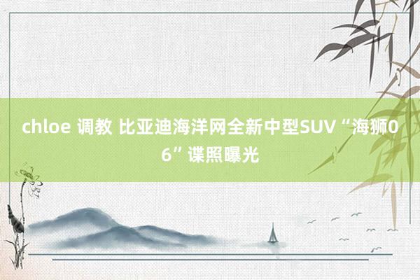 chloe 调教 比亚迪海洋网全新中型SUV“海狮06”谍照曝光