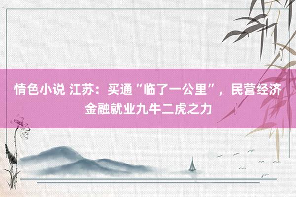 情色小说 江苏：买通“临了一公里”，民营经济金融就业九牛二虎之力