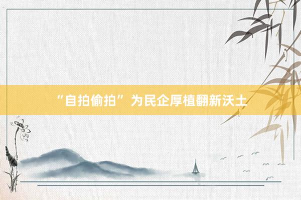 “自拍偷拍” 为民企厚植翻新沃土
