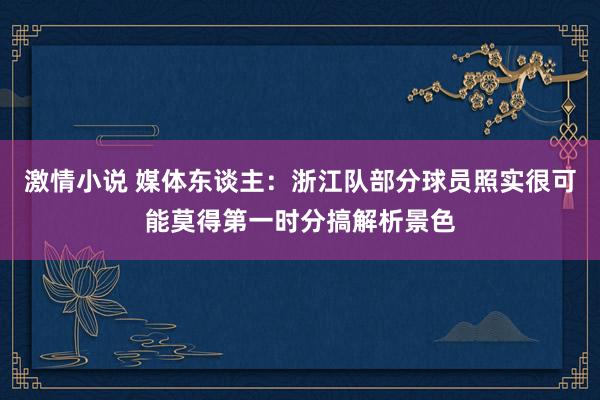 激情小说 媒体东谈主：浙江队部分球员照实很可能莫得第一时分搞解析景色