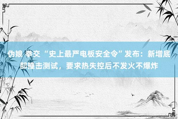 伪娘 拳交 “史上最严电板安全令”发布：新增底部撞击测试，要求热失控后不发火不爆炸