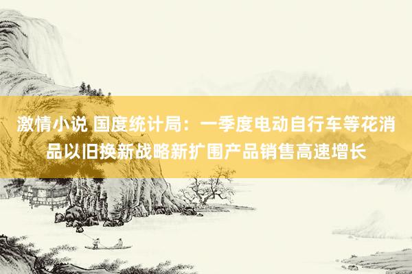激情小说 国度统计局：一季度电动自行车等花消品以旧换新战略新扩围产品销售高速增长