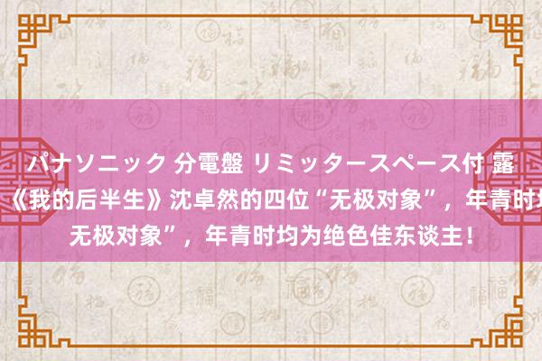 パナソニック 分電盤 リミッタースペース付 露出・半埋込両用形 《我的后半生》沈卓然的四位“无极对象”，年青时均为绝色佳东谈主！