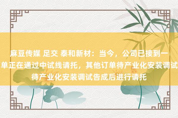 麻豆传媒 足交 泰和新材：当今，公司已接到一些订单，部分订单正在通过中试线请托，其他订单待产业化安装调试告成后进行请托