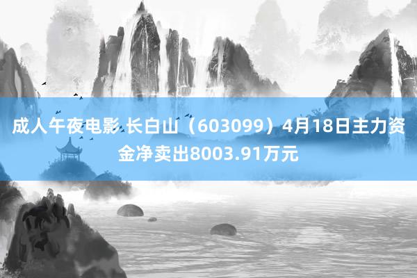 成人午夜电影 长白山（603099）4月18日主力资金净卖出8003.91万元
