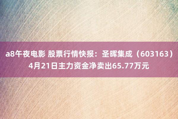 a8午夜电影 股票行情快报：圣晖集成（603163）4月21日主力资金净卖出65.77万元