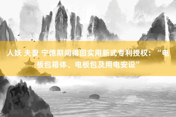 人妖 夫妻 宁德期间得回实用新式专利授权：“电板包箱体、电板包及用电安设”