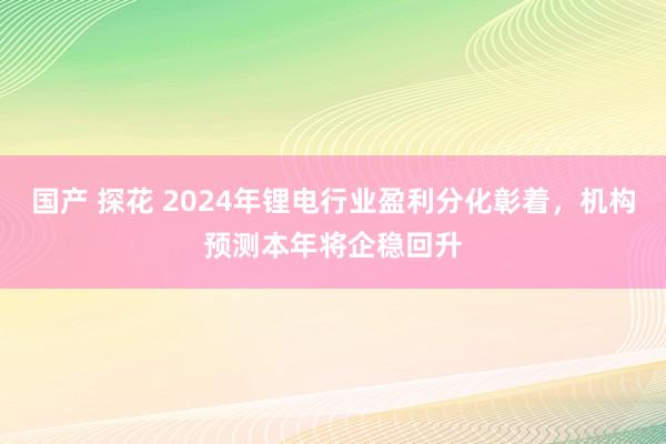 国产 探花 2024年锂电行业盈利分化彰着，机构预测本年将企稳回升