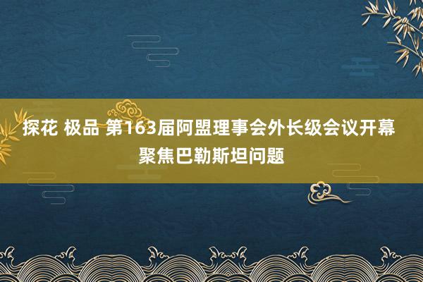 探花 极品 第163届阿盟理事会外长级会议开幕 聚焦巴勒斯坦问题
