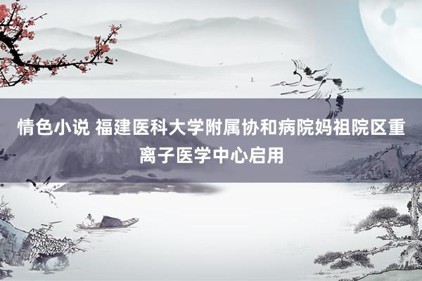 情色小说 福建医科大学附属协和病院妈祖院区重离子医学中心启用
