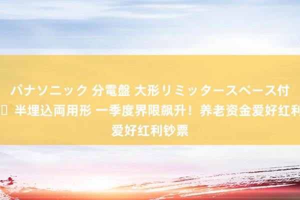 パナソニック 分電盤 大形リミッタースペース付 露出・半埋込両用形 一季度界限飙升！养老资金爱好红利钞票