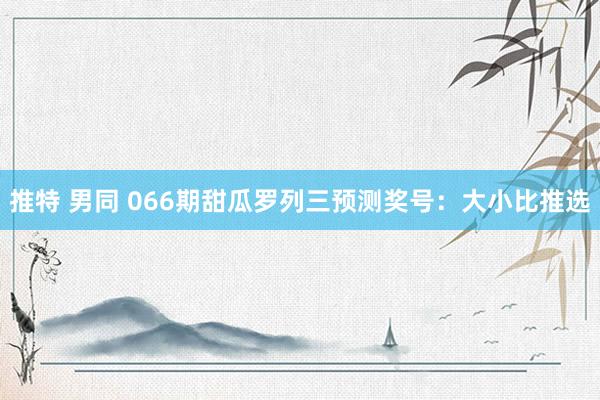 推特 男同 066期甜瓜罗列三预测奖号：大小比推选