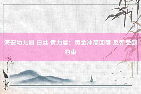 海安幼儿园 白丝 黄力晨：黄金冲高回落 反弹受到约束