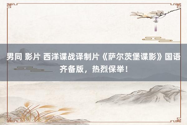 男同 影片 西洋谍战译制片《萨尔茨堡谍影》国语齐备版，热烈保举！