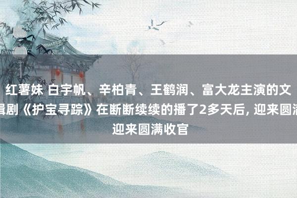 红薯妹 白宇帆、辛柏青、王鹤润、富大龙主演的文物追缉剧《护宝寻踪》在断断续续的播了2多天后， 迎来圆满收官